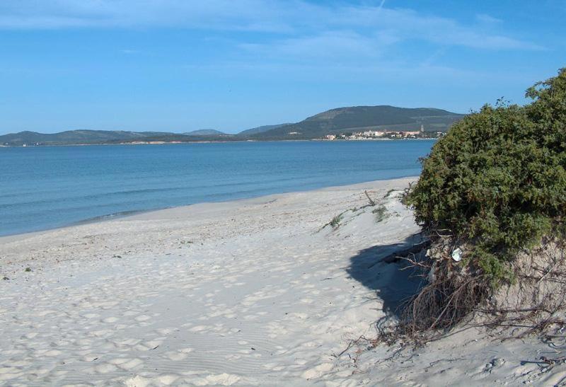Appartamento A Pochi Passi Dalla Spiaggia Alghero Buitenkant foto