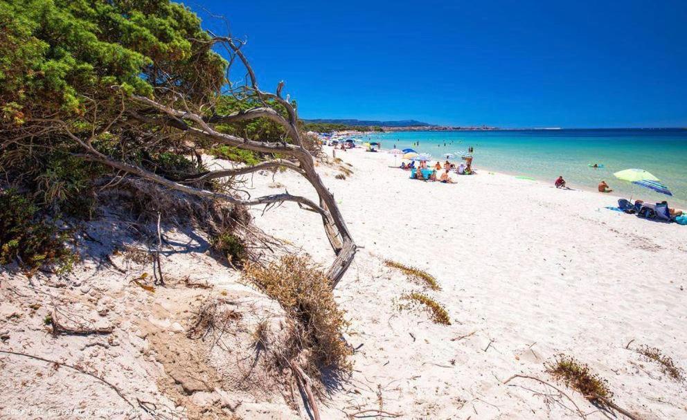 Appartamento A Pochi Passi Dalla Spiaggia Alghero Buitenkant foto